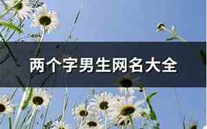 男生一个字的网名