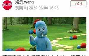 同喜宝宝的角色名字