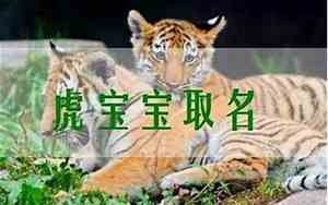余姓宝宝取名字大全虎年