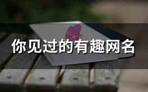 有趣网名
