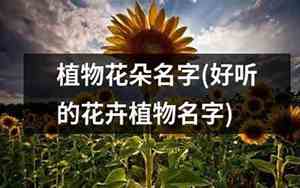 植物网名