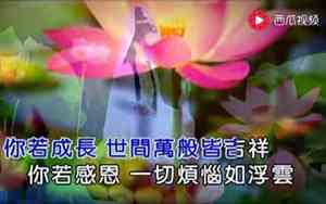 好听的十首佛歌简谱