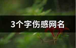 三个字伤感网名