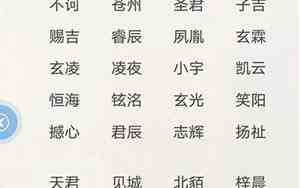 小说有啥好名字