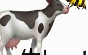 牛b宝宝小众名字