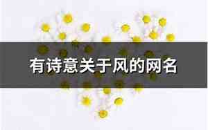 有诗意关于风的网名