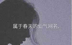仙家网名