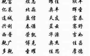 奶酪公司起名大全四个字