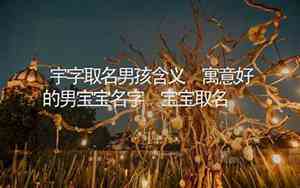 男宝宝宇字的名字