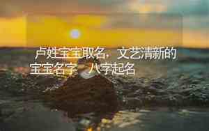 卢姓宝宝名字讲解