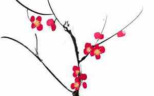 带芹的好听名字