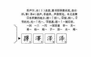 带稳泽的公司名字