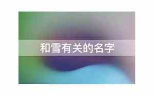 和雪有关公司名字