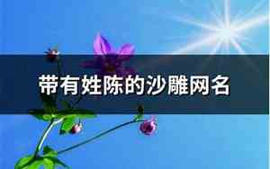 姓陈的网名