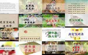 关于虎宝宝的店铺名字