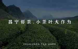 昌宁茶叶公司名字