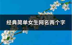 简单的网名两个字