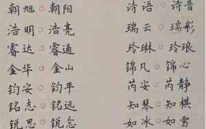 可以给猪宝宝起名字吗