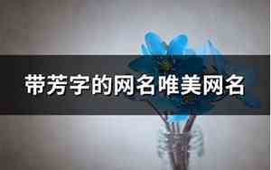 带芳字的网名