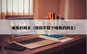 有阳的网名