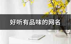 有品味的网名
