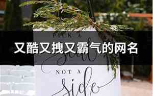 又酷又霸气的网名