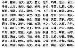 儿媳的好听名字