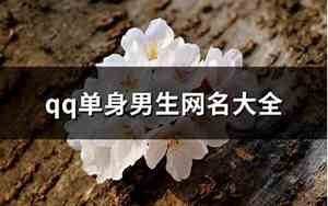 单身网名大全