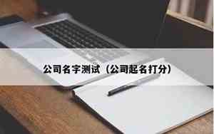 公司名字测试大全