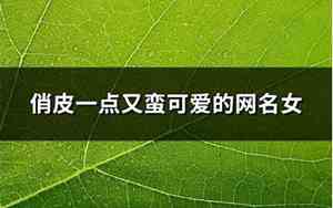俏皮网名女