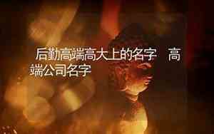 出名的后勤公司名字