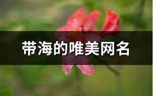 带海的唯美网名