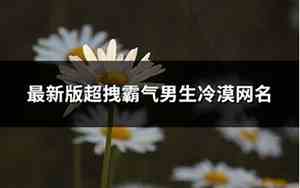 冷漠网名男生
