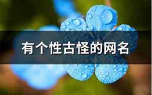 古怪的网名