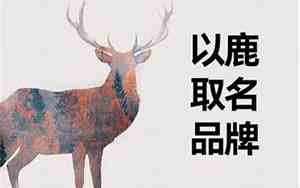 以鹿名称起名的公司不好