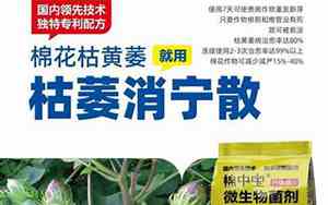 做农资的好名字有哪些