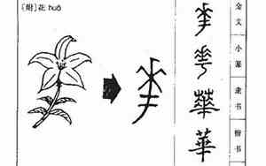 华字为公司起名