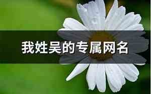 姓吴的网名