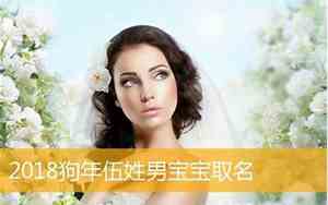 毕姓狗年宝宝名字