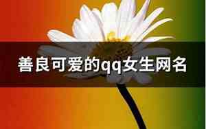 善良网名