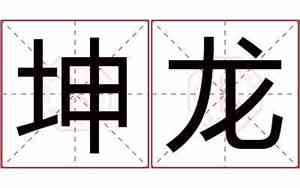 坤龙这个公司名字好吗