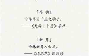 可以做网名的诗句