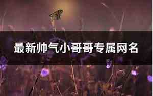 小哥哥网名