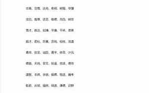 狗年男宝宝最好的名字