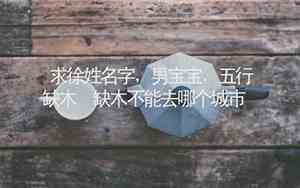 求名字姓徐宝宝