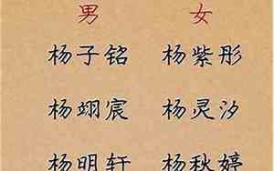 杨姓女子好听的名字