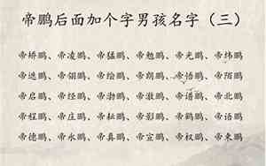 含有鹏好听的名字