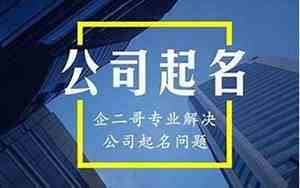 公洋气的公司名字