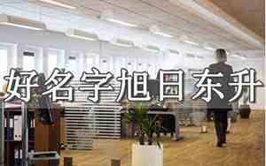 以辈分取公司名字