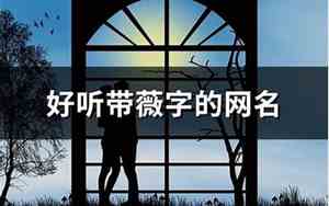 带薇的网名